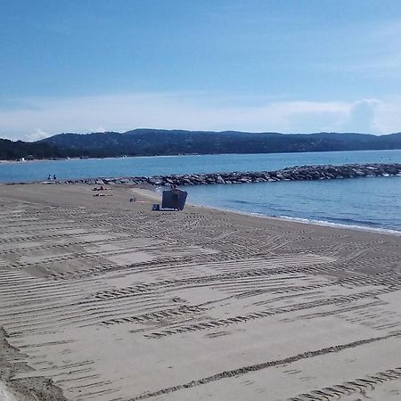 Studio De 27 M² + 70 M² De Jardin A 100 M Des Plages Cavalaire-sur-Mer Eksteriør bilde