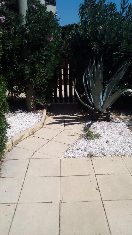 Studio De 27 M² + 70 M² De Jardin A 100 M Des Plages Cavalaire-sur-Mer Eksteriør bilde