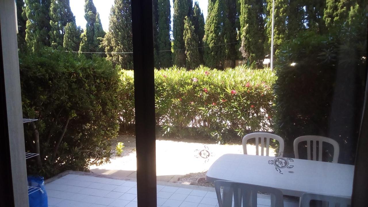 Studio De 27 M² + 70 M² De Jardin A 100 M Des Plages Cavalaire-sur-Mer Eksteriør bilde